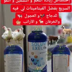 SOLUVIT EXEL PLUS