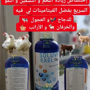 SOLUVIT EXEL PLUS
